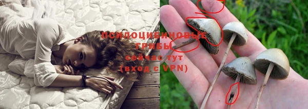 MESCALINE Аркадак